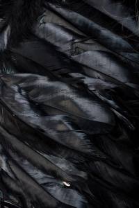 Schwarzes Engelchen Body mit Flügel